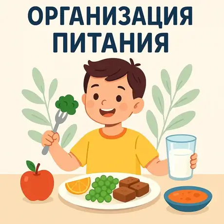 Организация питания