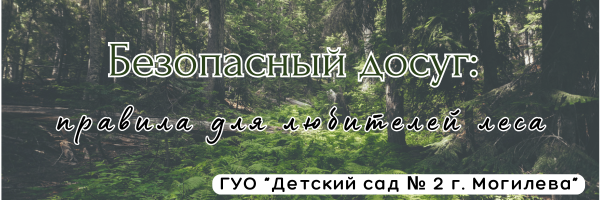 Безопасный досуг: правила для любителей леса