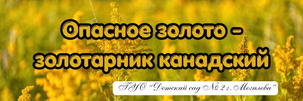 Опасное золото