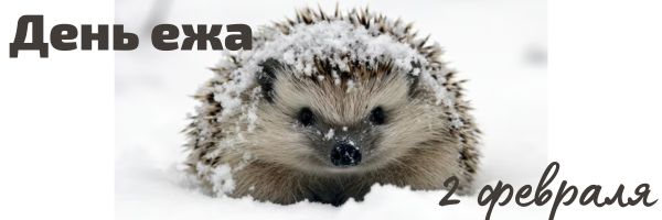 День ежа во второй младшей группе