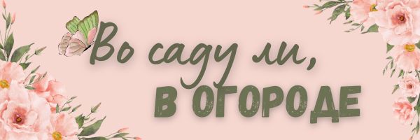 Огород на подоконнике в старшей группе