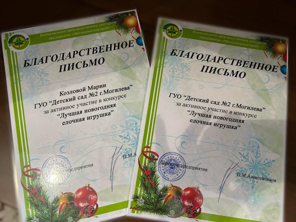 Лучшая новогодняя елочная игрушка